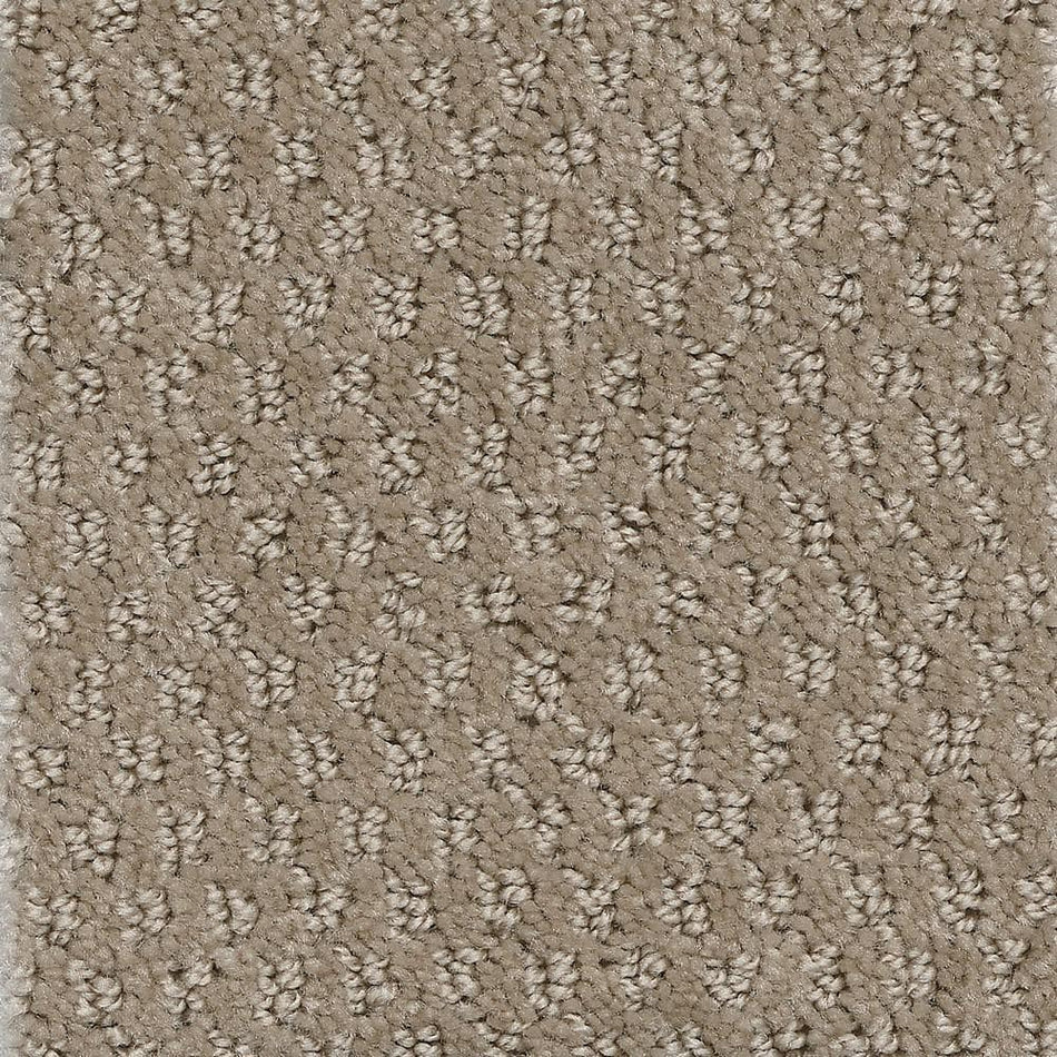 TrafficMaster Prime Spot - Ace - Beige 25 oz. SD Polyester Pattern Installed Carpet