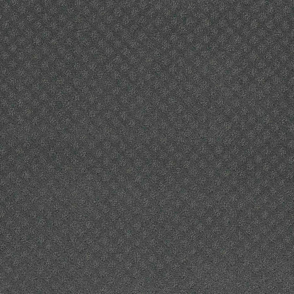 TrafficMaster Camelia Lane - Alley - Gray 28 oz. SD Polyester Loop Installed Carpet