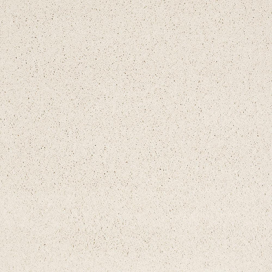 Lifeproof Coral Reef I - Always Cream - Beige 65.5 oz. Nylon Texture Installed Carpet