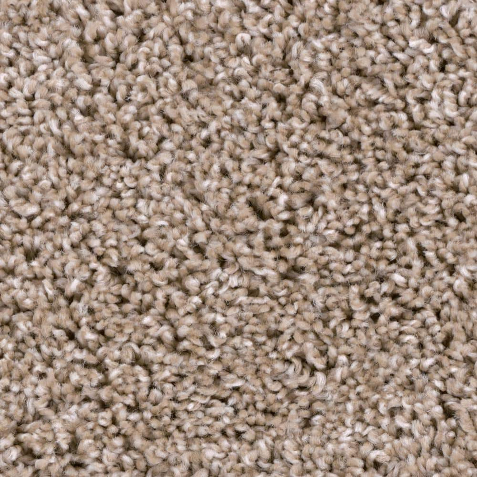 TrafficMaster Founder - Author - Brown 18 oz. SD Polyester Texture Installed Carpet