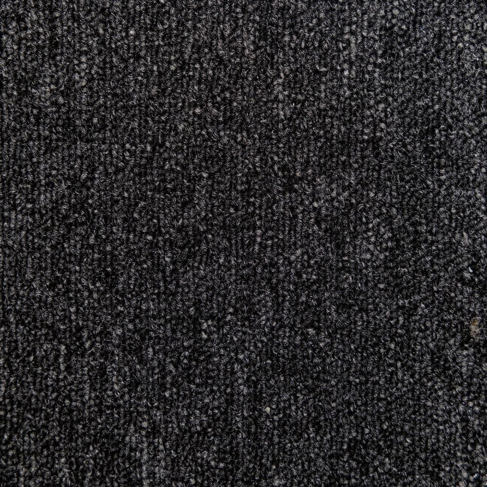 TrafficMaster Ramble On  - Beacon - Black 20 oz. SD Polyester Loop Installed Carpet