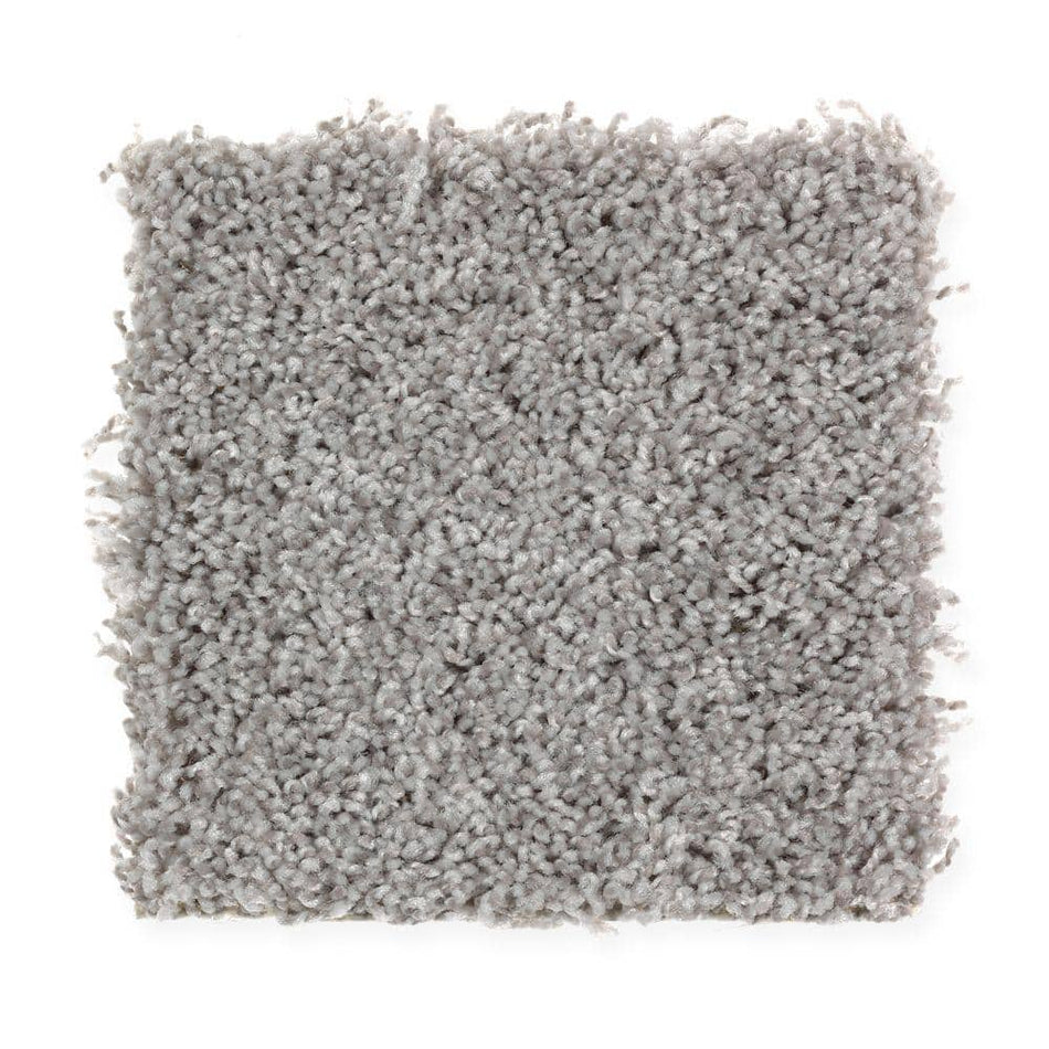 Home Decorators Collection Top Gear I  - Bird Bath - Gray 30 oz. Polyester Texture Installed Carpet