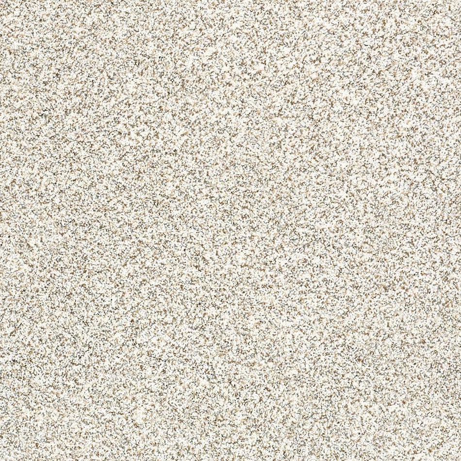 Lifeproof Madeline II - Bit Of Ivory - Beige 61.8 oz. Nylon Texture Installed Carpet