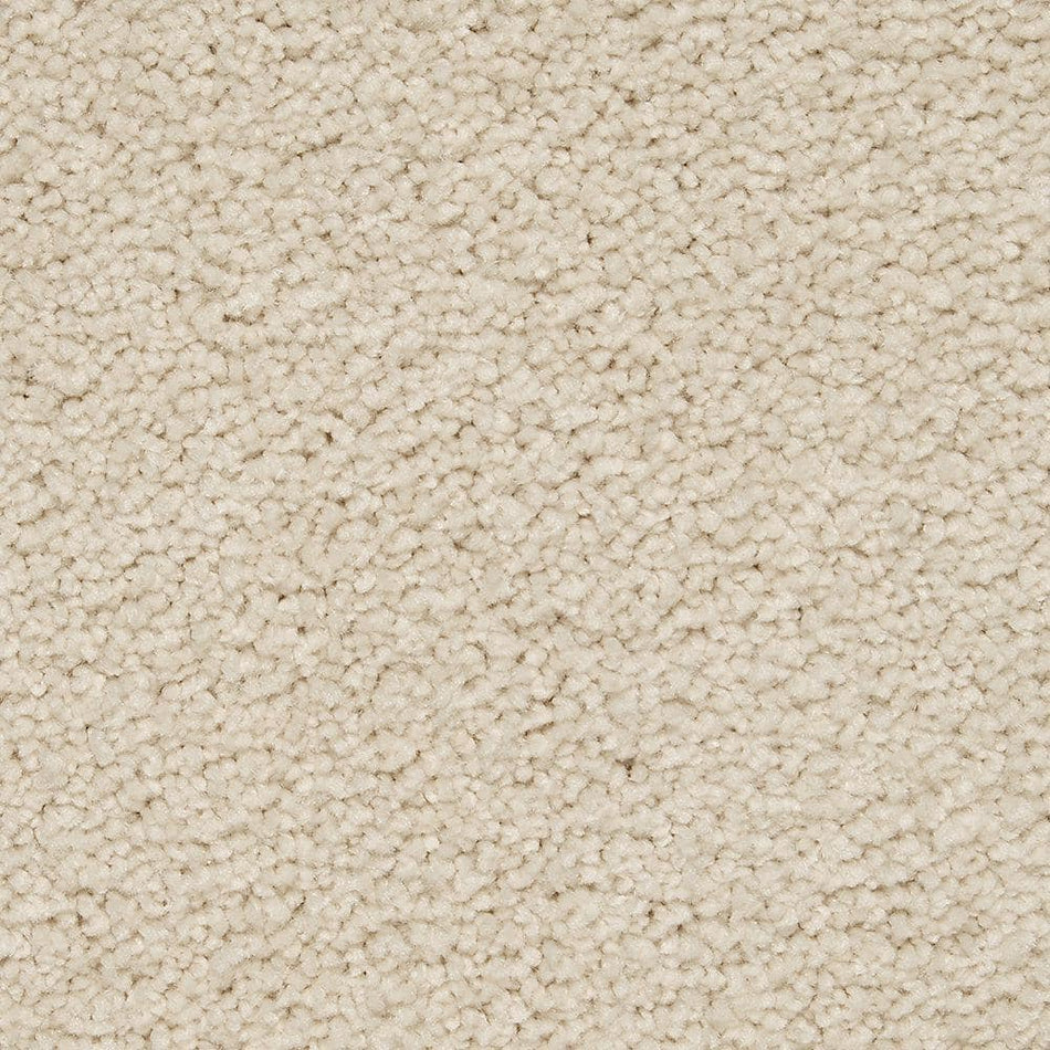 Lifeproof with Petproof Technology Castle II  - Bliss - Beige 60 oz. Triexta Texture Installed Carpet