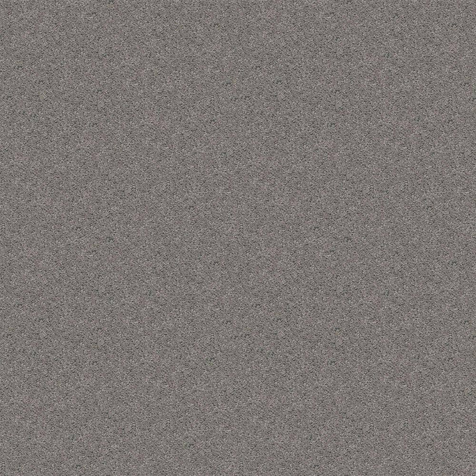 TrafficMaster Alpine - Brushed Nickel - Gray 17.3 oz. Polyester Texture Installed Carpet