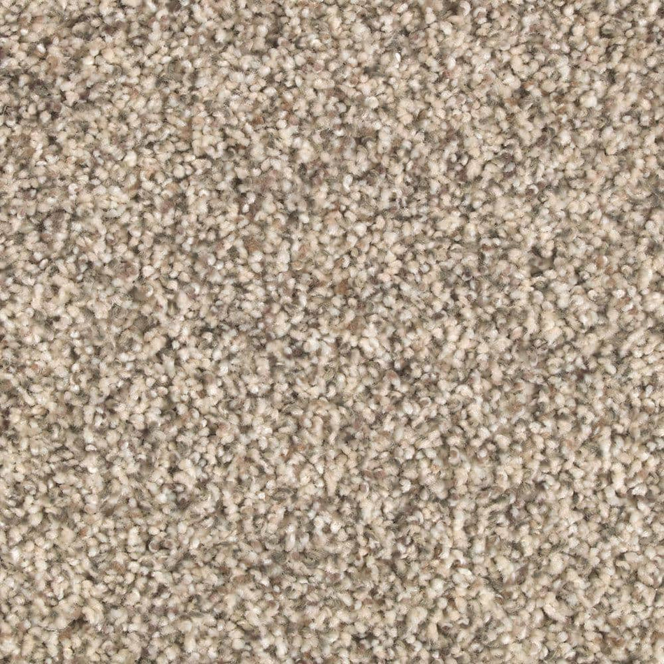 Lifeproof Tidal Pool  - Buffed - Beige 52 oz. Triexta Texture Installed Carpet