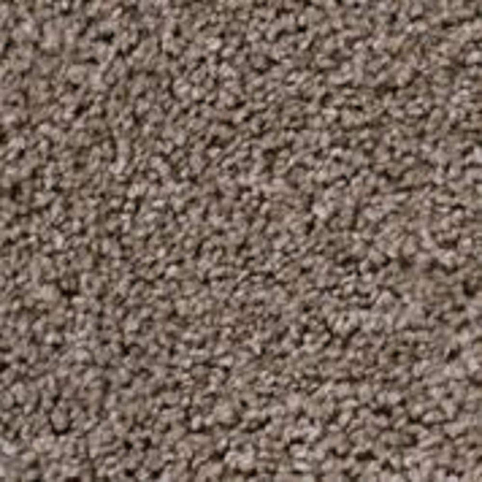 TrafficMaster Founder - Builder - Brown 18 oz. SD Polyester Texture Installed Carpet