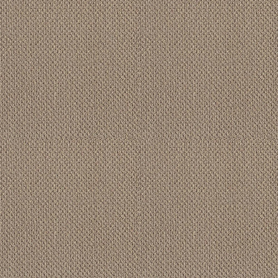 Lifeproof Lightbourne - Cafe - Beige 39.3 oz. Nylon Loop Installed Carpet