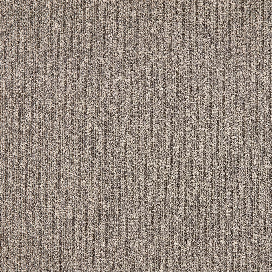 TrafficMaster Finton  - Cape Cod - Gray 24 oz. SD Polyester Loop Installed Carpet