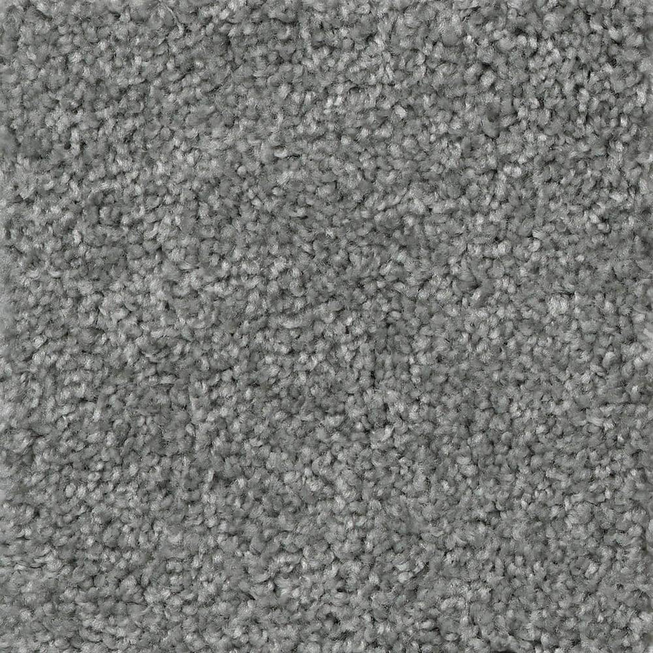 TrafficMaster Lucky - Penny Charmed - Gray 40 oz. SD Polyester Texture Installed Carpet