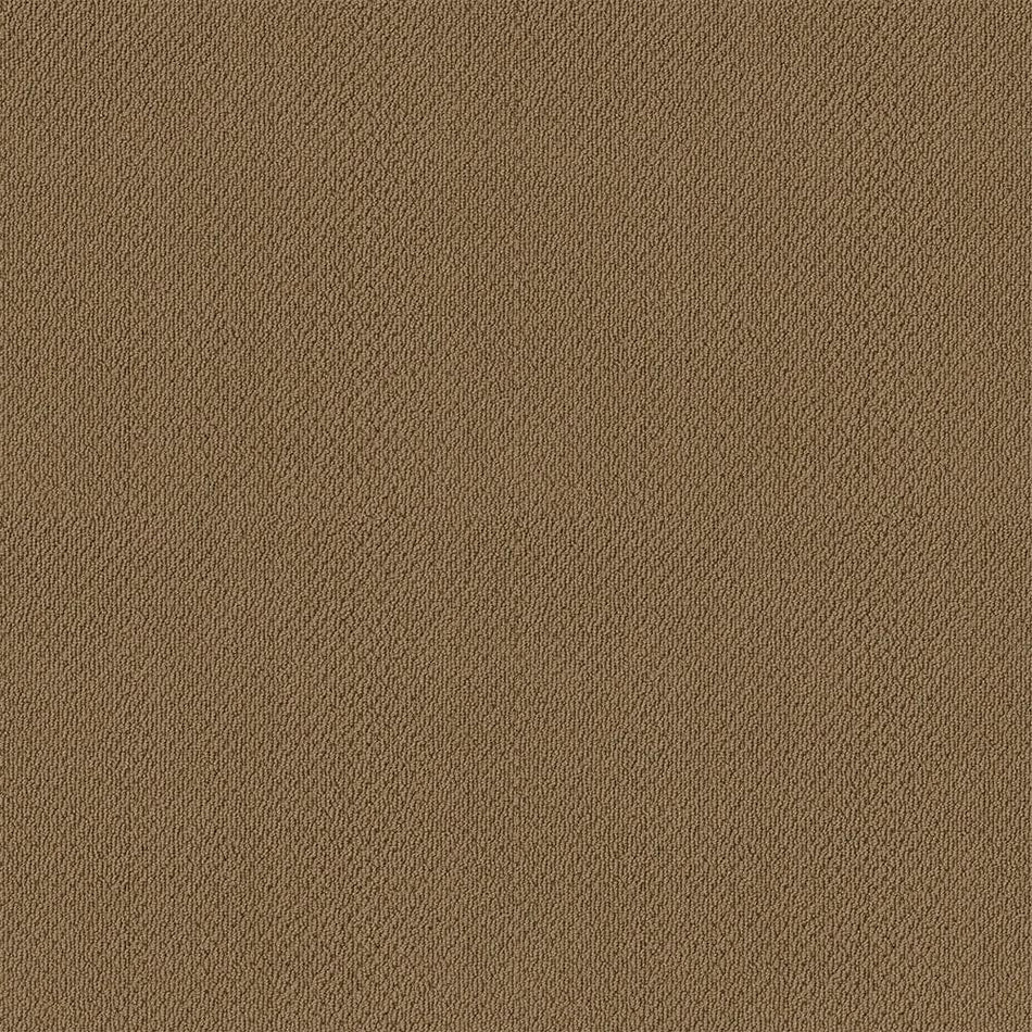 Lifeproof Lightbourne - Chestnut - Brown 39.3 oz. Nylon Loop Installed Carpet