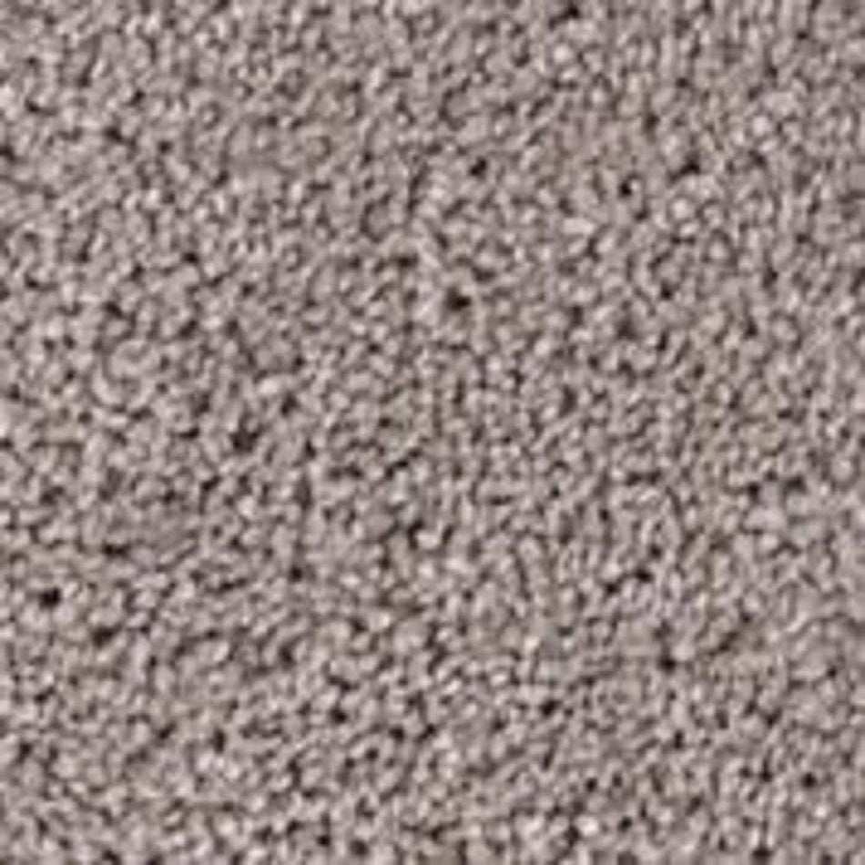 TrafficMaster Founder - Chief - Brown 18 oz. SD Polyester Texture Installed Carpet