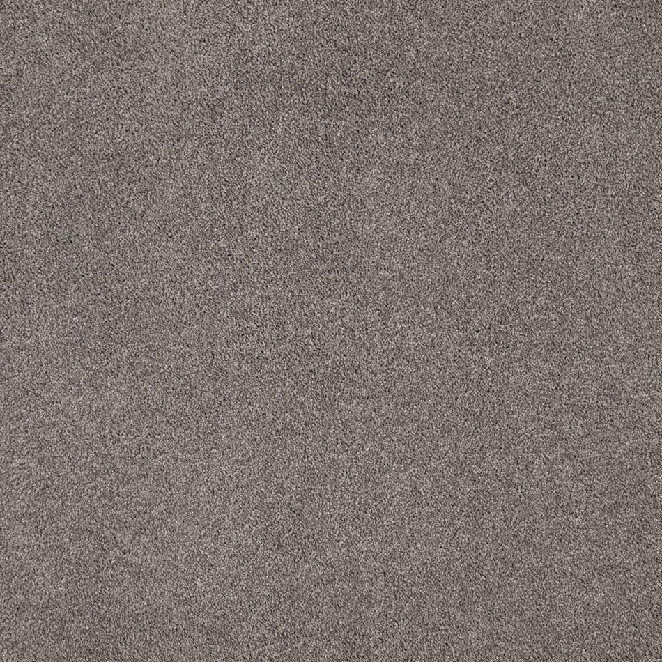 Lifeproof Appreciate II  - Cityscape - Gray 58 oz. Triexta Texture Installed Carpet