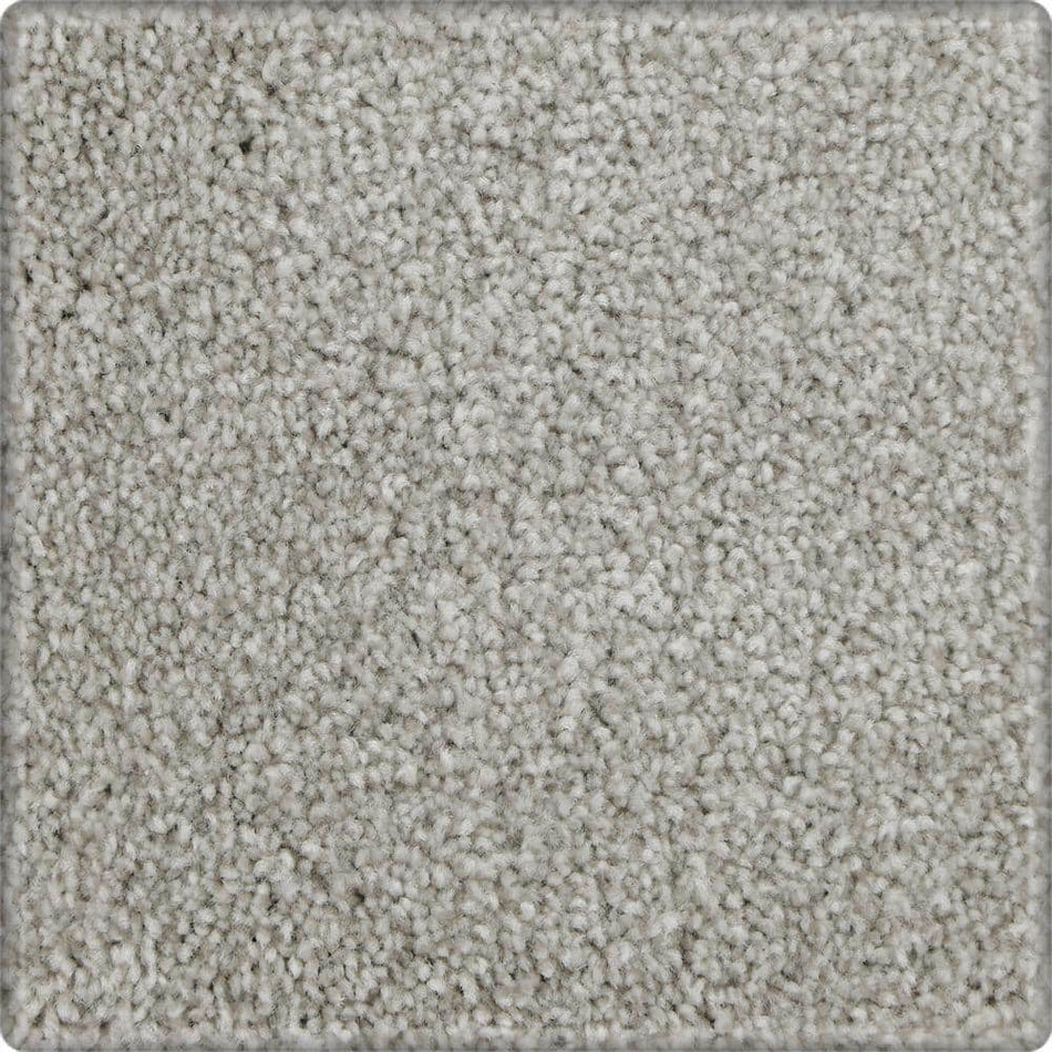 Lifeproof with Petproof Technology Denfort  - Cloudy Day - Gray 70 oz. Triexta Texture Installed Carpet