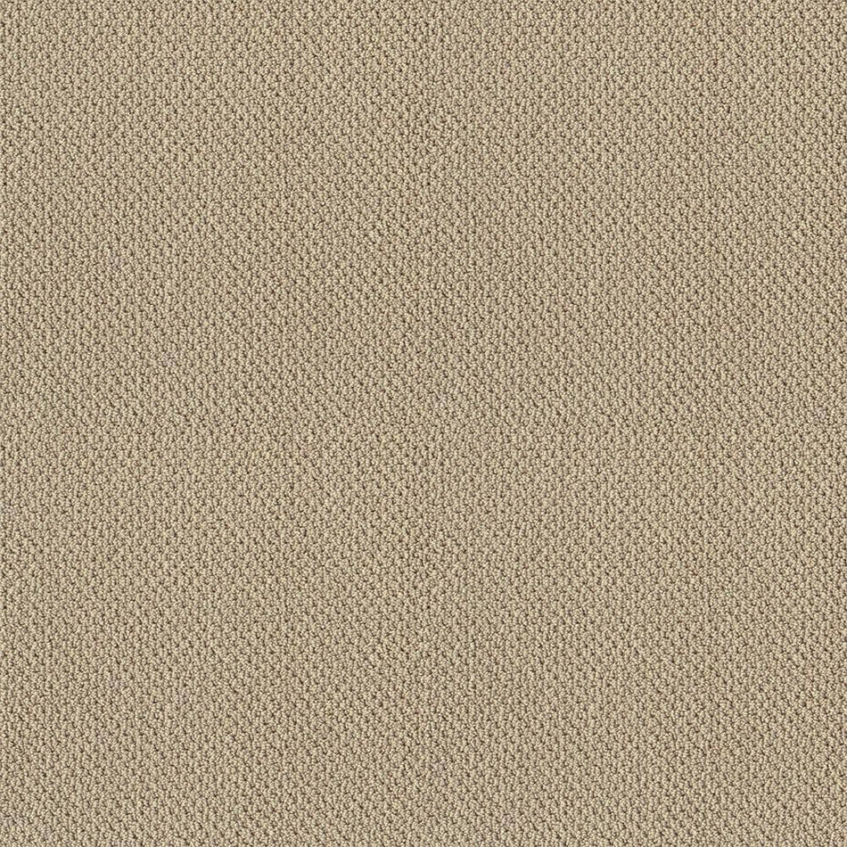 Lifeproof Lightbourne - Coastline - Beige 39.3 oz. Nylon Loop Installed Carpet