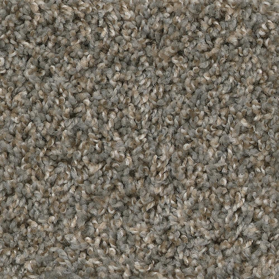 TrafficMaster Lucky II - Coin - Gray 38 oz. SD Polyester Texture Installed Carpet