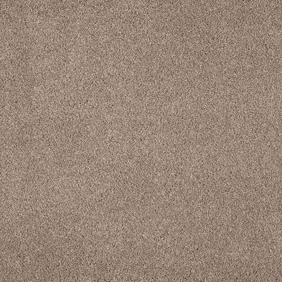Lifeproof with Petproof Technology Gazelle II  - Cottage Craft - Beige 55 oz. Triexta Texture Installed Carpet