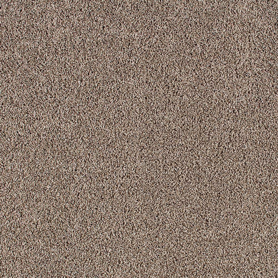 Lifeproof Huntcliff I Country Side Brown 31 oz. Triexta Texture Installed Carpet