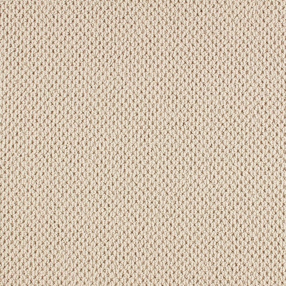 Lifeproof Cliffmont  - Daydream - Beige 39 oz. Triexta Pattern Installed Carpet