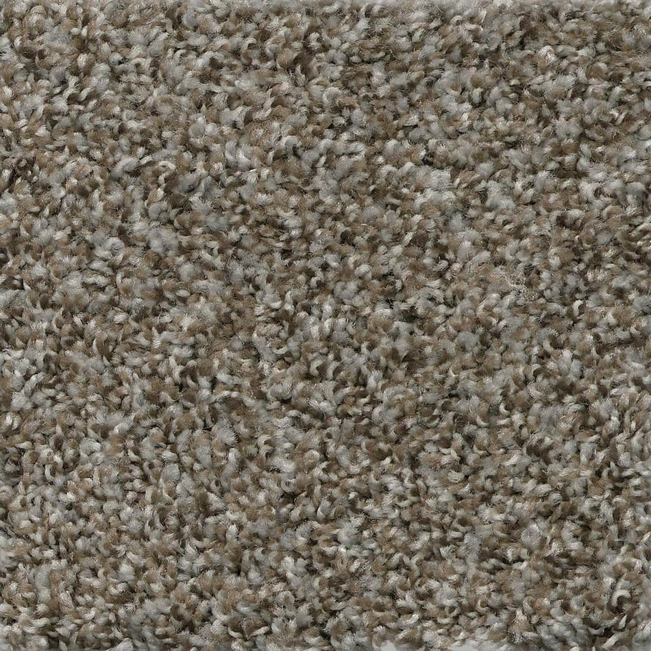 TrafficMaster Montrose  - Debut - Gray 35 oz. SD Polyester Texture Installed Carpet