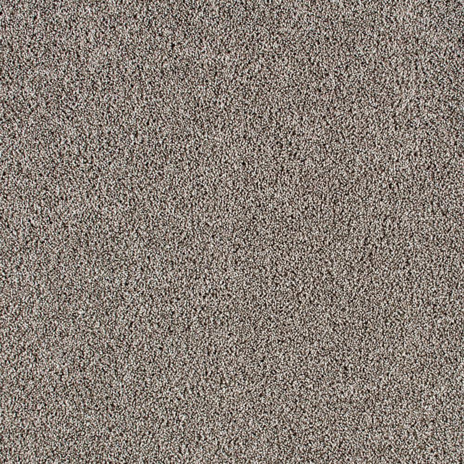 Lifeproof Huntcliff I Deep Breath Gray 31 oz. Triexta Texture Installed Carpet