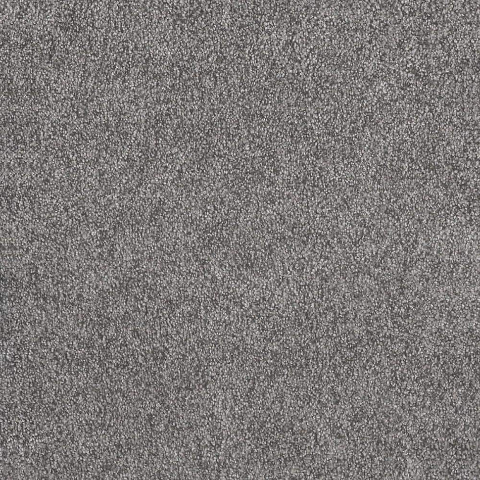 Home Decorators Collection Topaz II - Deerhaven - Gray 55 oz. SD Polyester Texture Installed Carpet