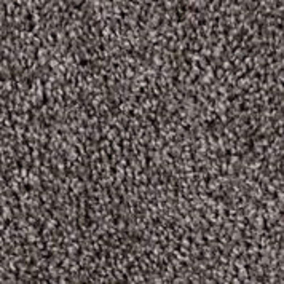 TrafficMaster Founder - Designer - Brown 18 oz. SD Polyester Texture Installed Carpet