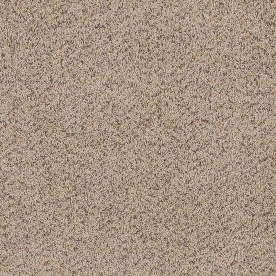 TrafficMaster Dream Wish  - Desire - Beige 32 oz. SD Polyester Texture Installed Carpet