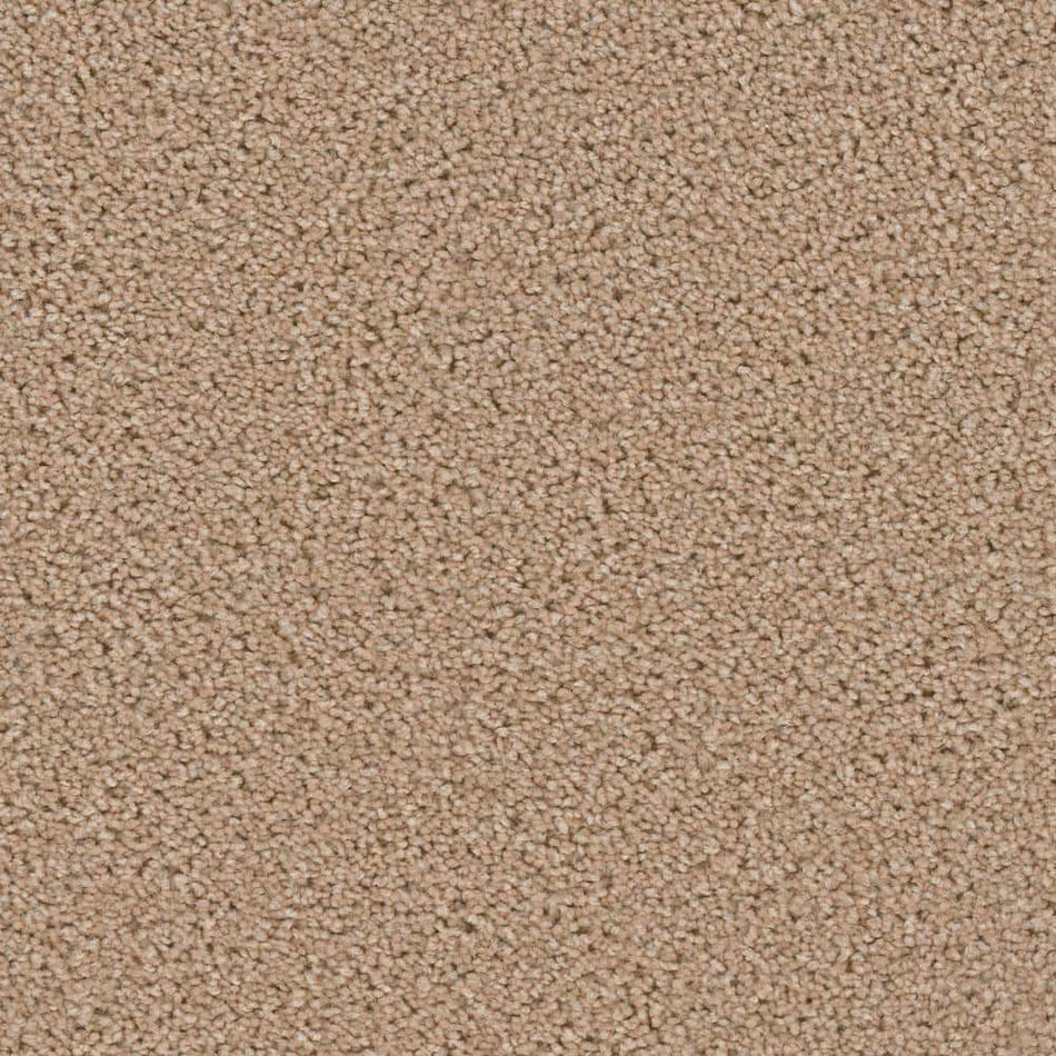 TrafficMaster Added Value  - Dignity - Beige 24 oz. SD Polyester Texture Installed Carpet