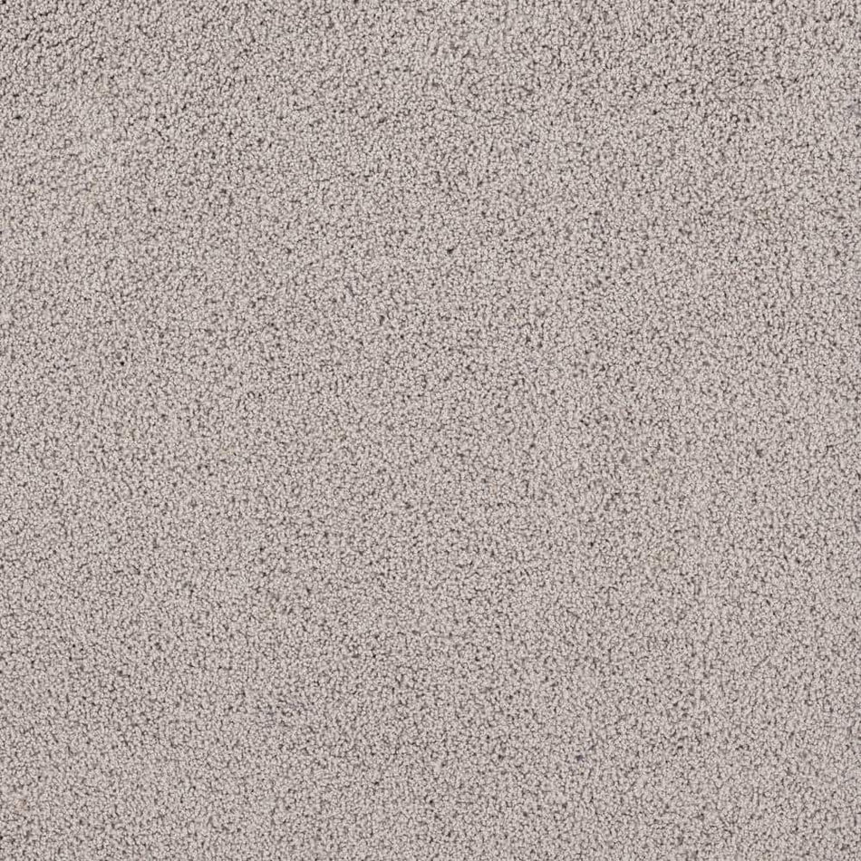 Lifeproof Around The World - Dusty Taupe - Beige 56.2 oz. Nylon Texture Installed Carpet