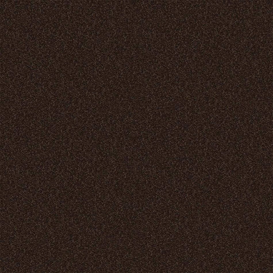 TrafficMaster Alpine - Exploration - Brown 17.3 oz. Polyester Texture Installed Carpet