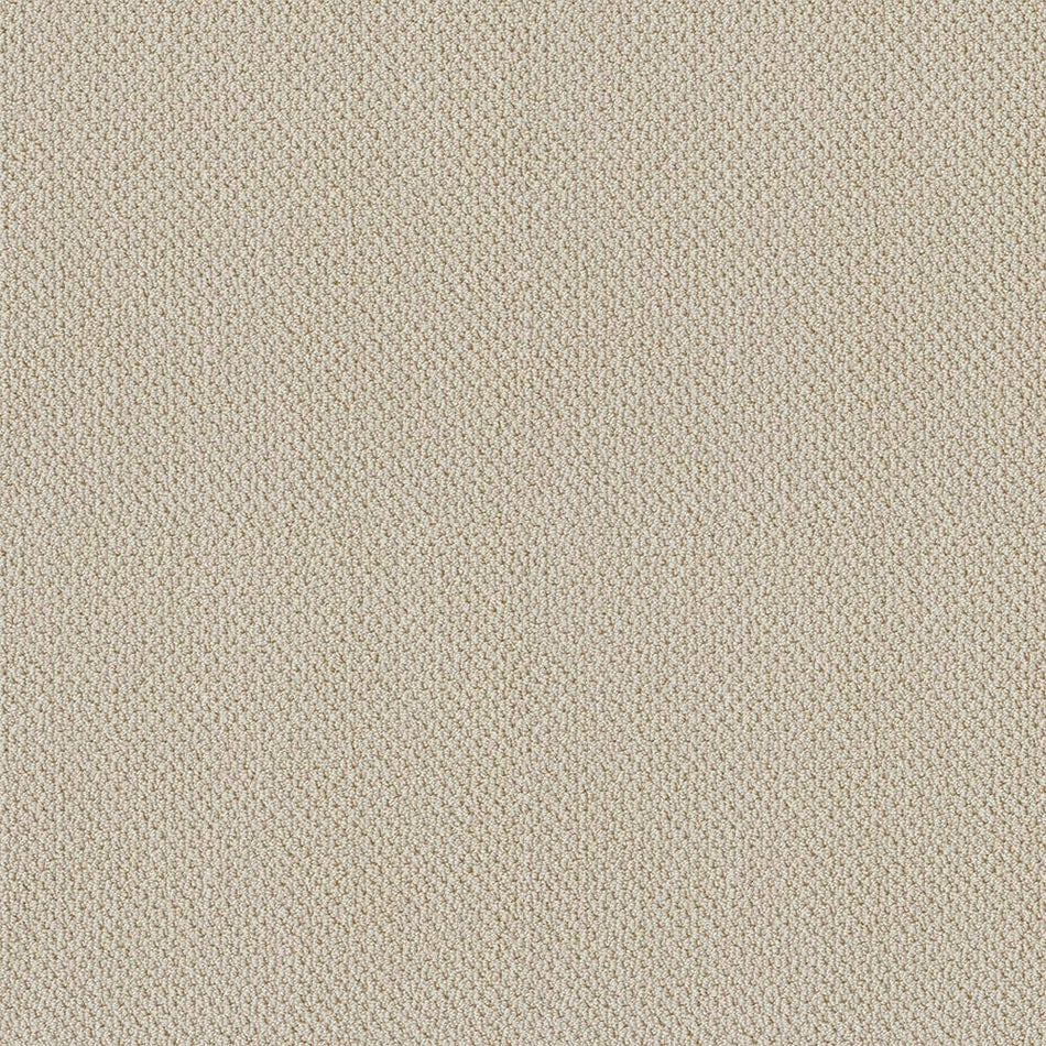 Lifeproof Lightbourne - Flaxen - Beige 39.3 oz. Nylon Loop Installed Carpet