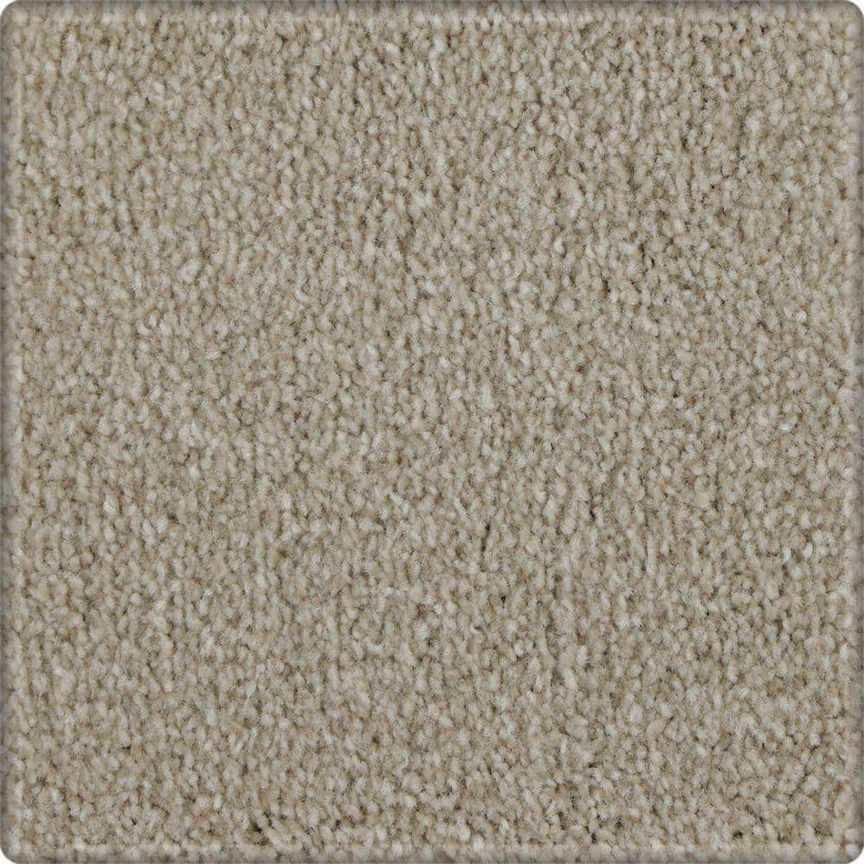 Lifeproof with Petproof Technology Denfort  - Fleece - Beige 70 oz. Triexta Texture Installed Carpet