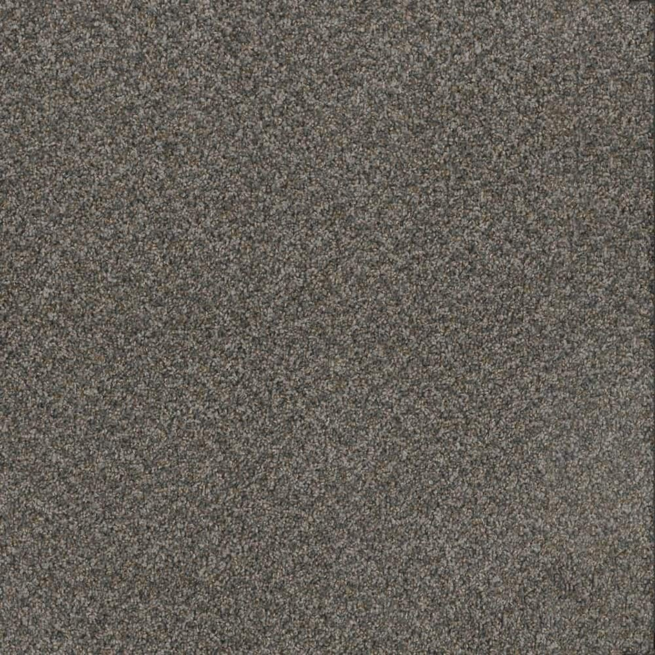 TrafficMaster Dream Wish  - Focus - Gray 32 oz. SD Polyester Texture Installed Carpet