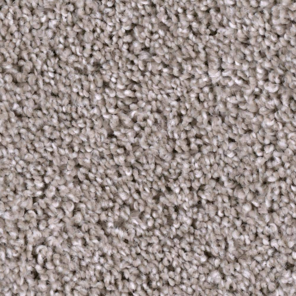 TrafficMaster Founder - Forerunner - Brown 18 oz. SD Polyester Texture Installed Carpet