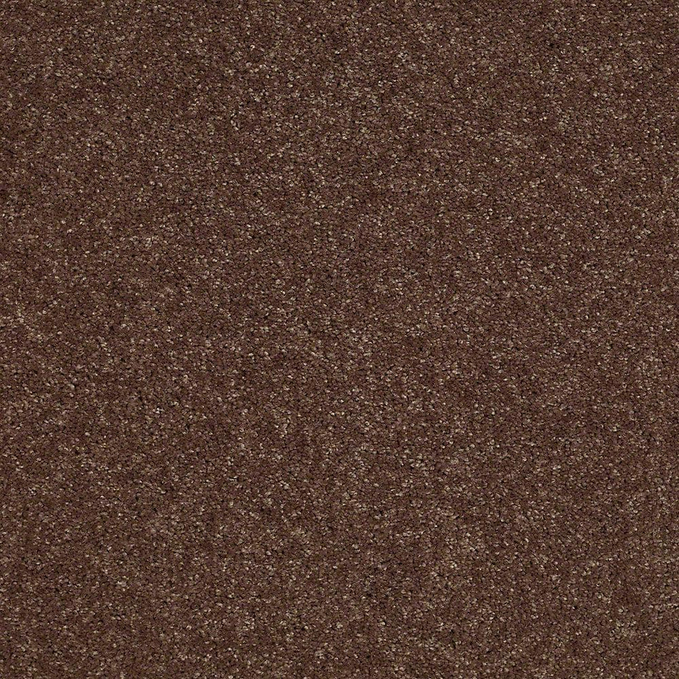 Home Decorators Collection Brave Soul II - Fudge - Brown 44 oz. Polyester Texture Installed Carpet