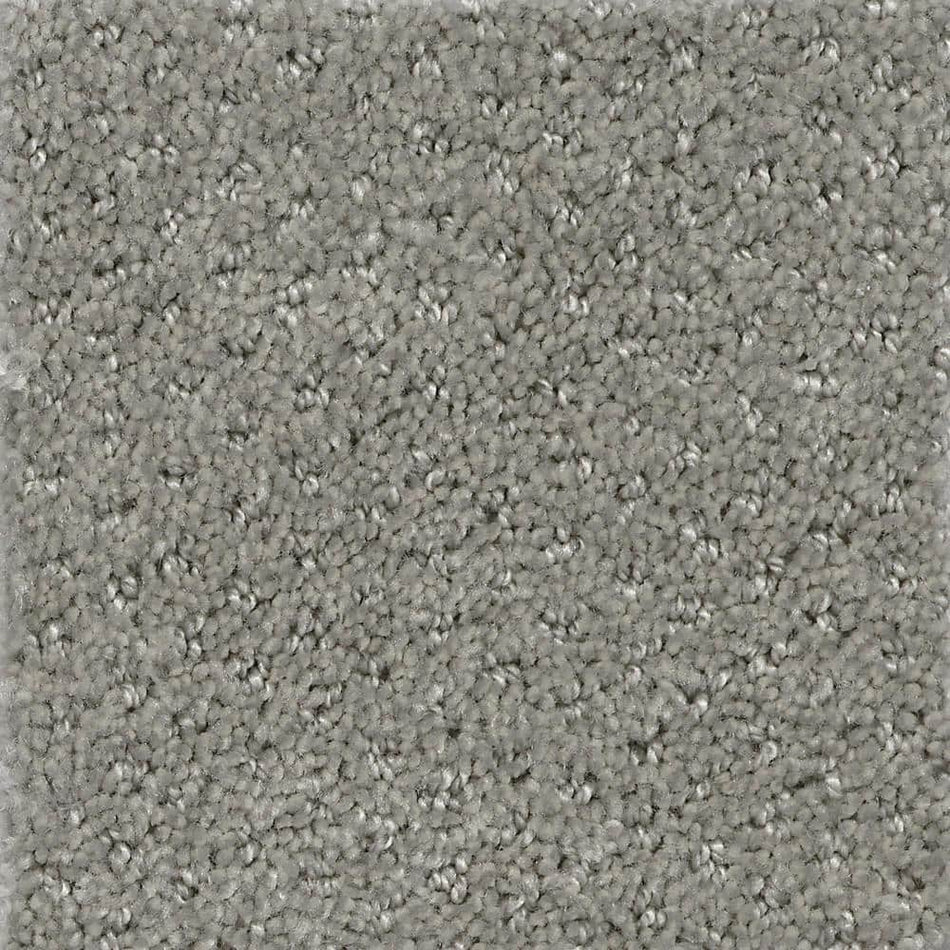 TrafficMaster Prime Spot - Gem - Gray  25 oz. SD Polyester Pattern Installed Carpet