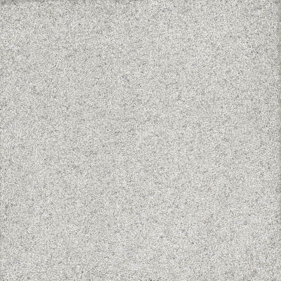 Lifeproof Hazelton I - Groovy - White 40 oz. Polyester Texture Installed Carpet