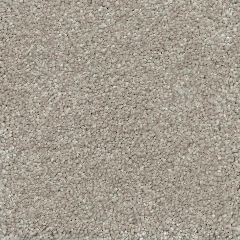 TrafficMaster Fast Performer  - Hallet - Gray 40 oz. SD Polyester Texture Installed Carpet