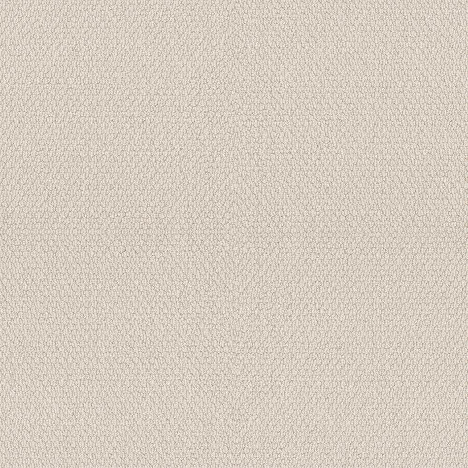 Lifeproof Summerville - Color Heirloom Lace Loop Beige Carpet