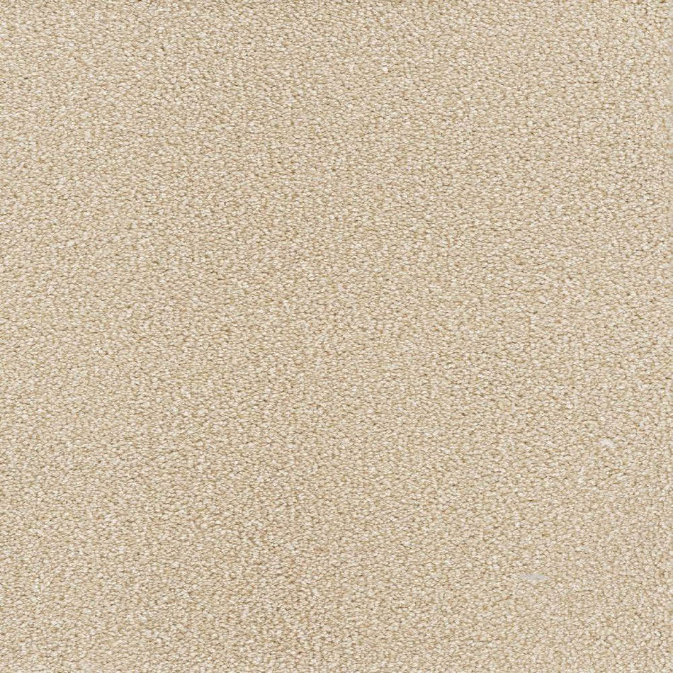Home Decorators Collection Spicework I  - Highgate - Beige 40 oz. SD Polyester Texture Installed Carpet