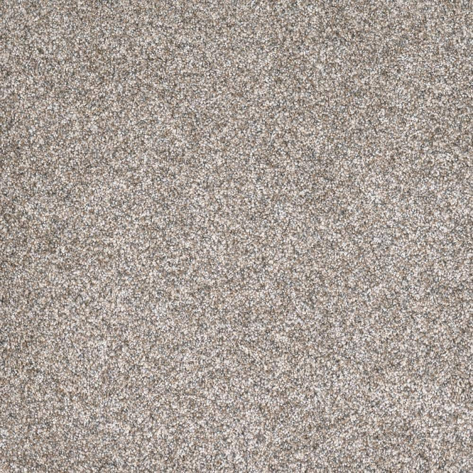 Lifeproof Hazelton II - Hobby - Beige 50 oz. Polyester Texture Installed Carpet