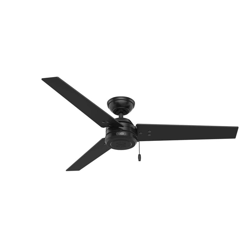 Hunter Cassius 52 in. Indoor/Outdoor Matte Black Ceiling Fan