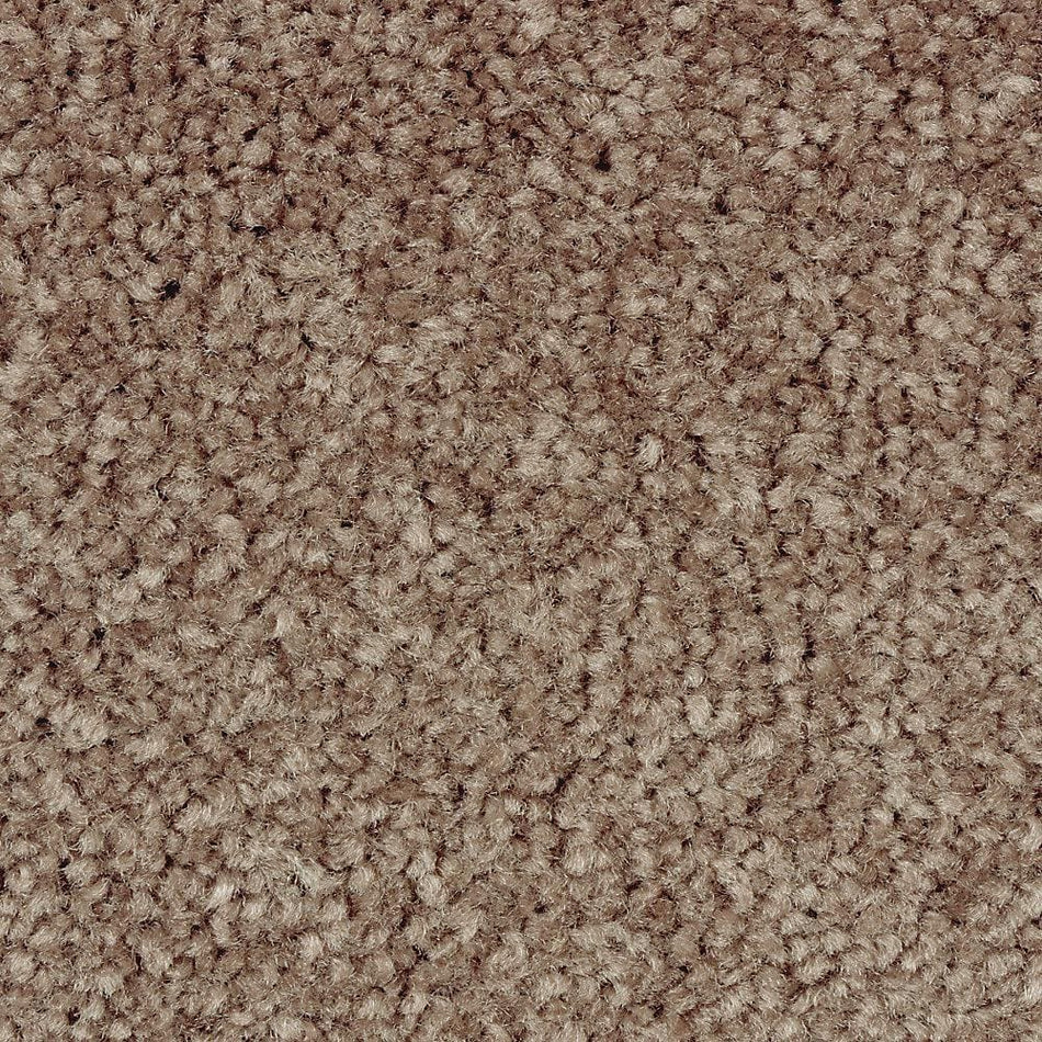 Lifeproof Mason II  - Incense - Brown 54 oz. Triexta Texture Installed Carpet