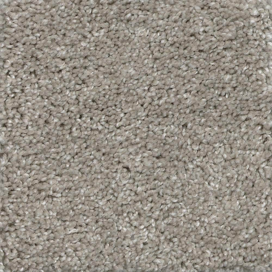 TrafficMaster Lucky Penny  - Karma - Gray 40 oz. SD Polyester Texture Installed Carpet