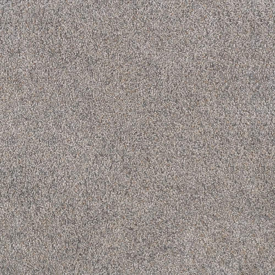 Home Decorators Collection Topaz I - Lazyday - Beige 40 oz. SD Polyester Texture Installed Carpet