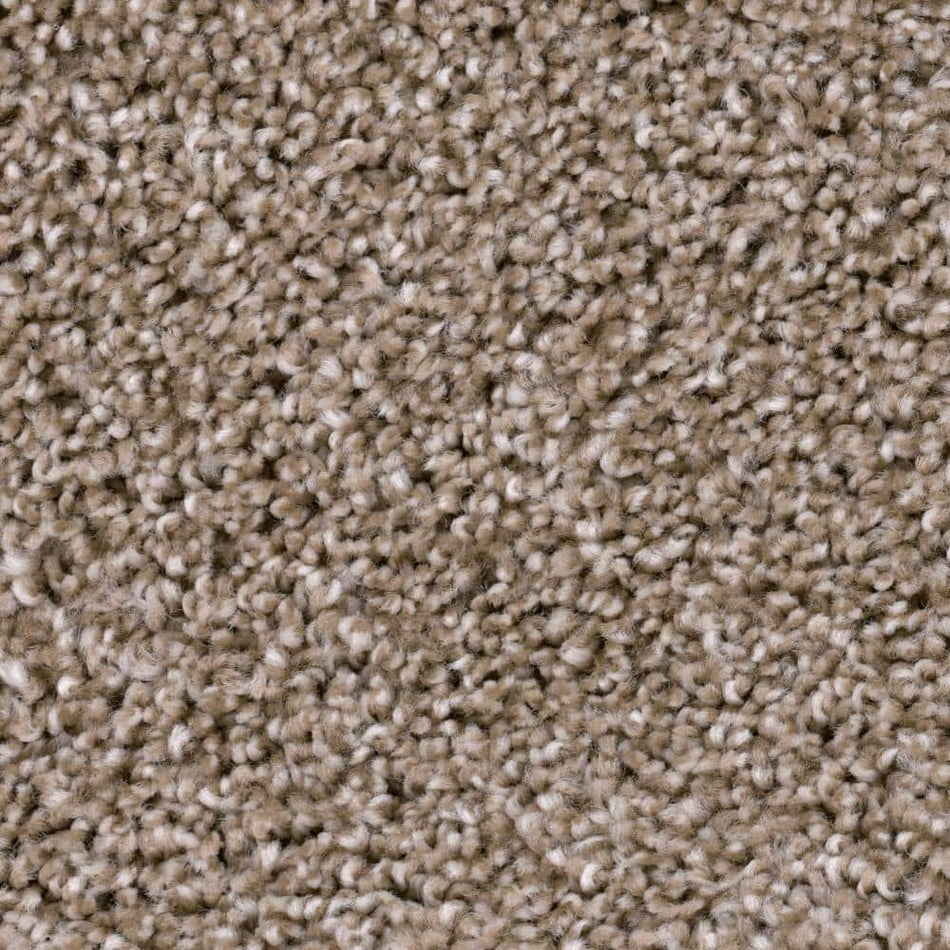 TrafficMaster Founder - Leader - Brown 18 oz. SD Polyester Texture Installed Carpet