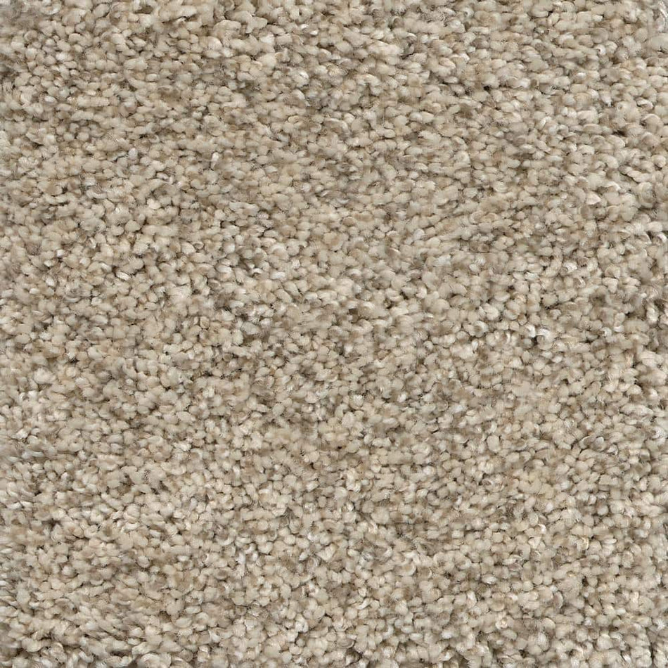 TrafficMaster Nimble Creek - Lodge - Beige 32 oz. SD Polyester Texture Installed Carpet