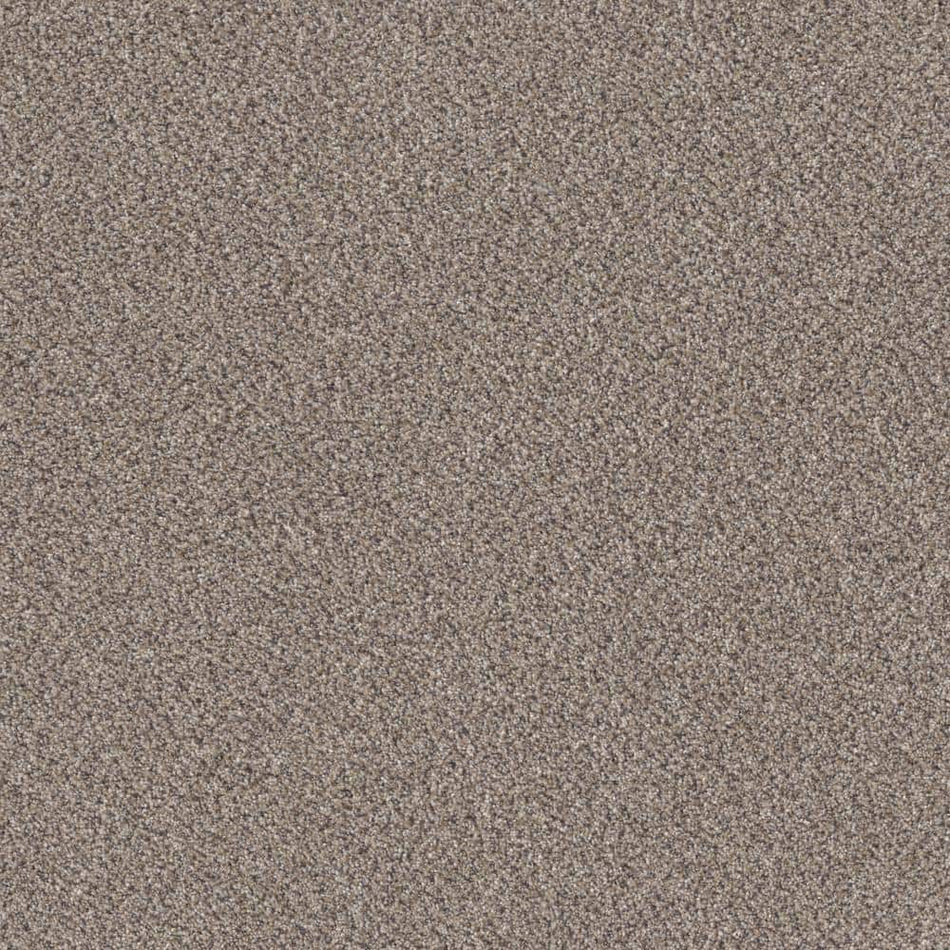 Home Decorators Collection Columbus II - London Fog - Gray 74.9 oz. SD Polyester Texture Installed Carpet