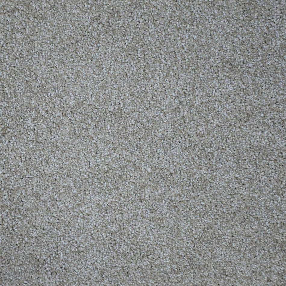 TrafficMaster Happy Chance  - Lucky - Beige 30 oz. SD Polyester Texture Installed Carpet